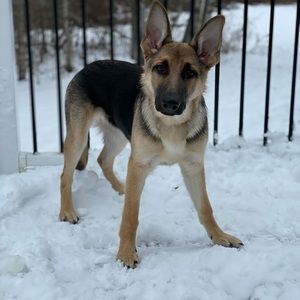 Meet your Posher, Aaron